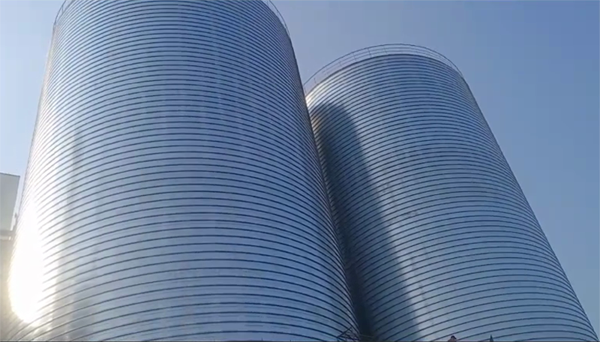 鹤城2座混凝土高架卷板仓